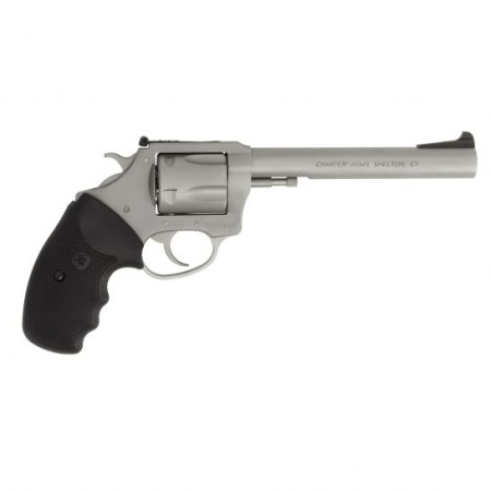 Charter Arms Target Bulldog Large .44 Spl Revolver, Stainless - 74460