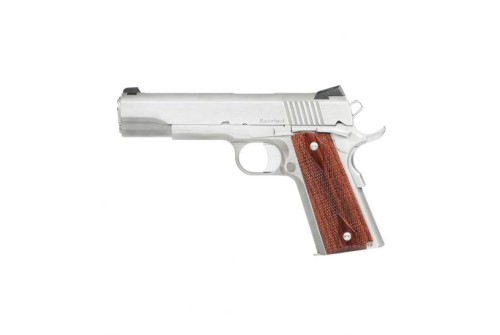 Dan Wesson Razorback 10mm Pistol, Stainless - 01889