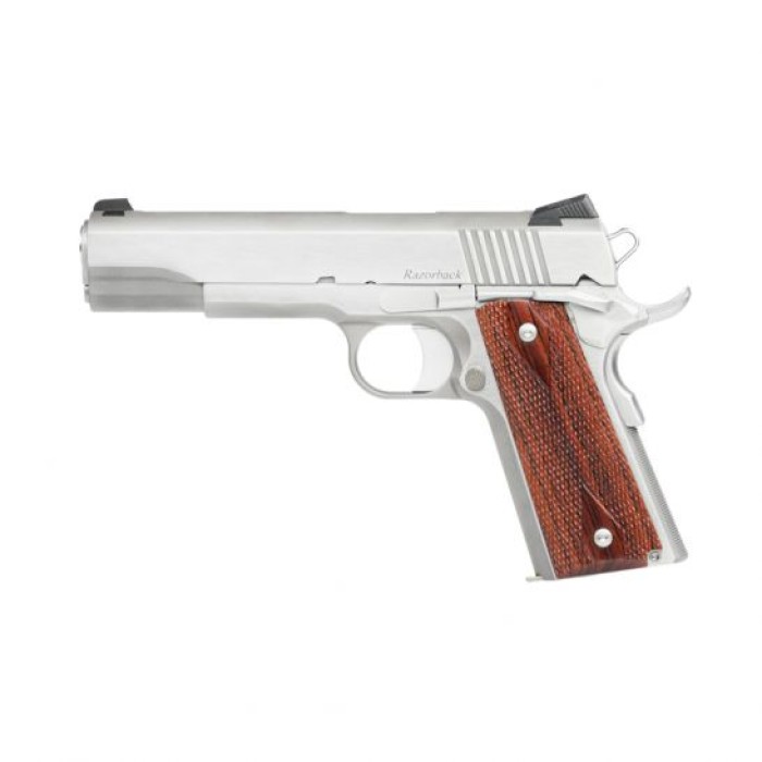 Dan Wesson Razorback 10mm Pistol, Stainless - 01889