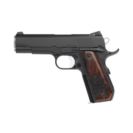 Dan Wesson Guardian 9mm Pistol, Blk - 01828