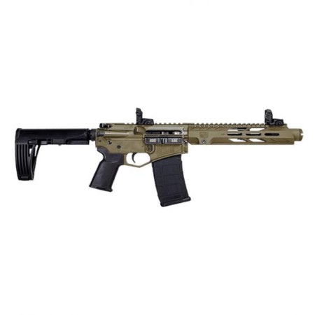 Diamondback Firearms DB15 10" .300 Blackout AR Pistol, FDE - DB15P300DS10FDE