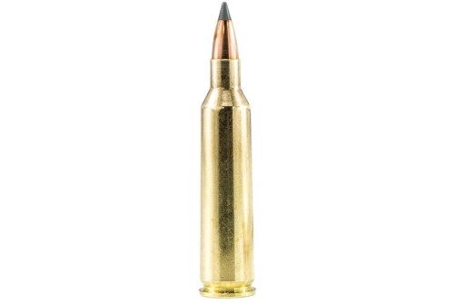 Sig Sauer Elite Performance 223 Remington 40gr Ballistic Tip Varmint Rifle Ammo - 20 Rounds