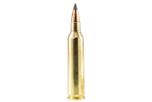 Sig Hunting 22-250 Remington 40gr, Tipped Hollow Point 20/Box