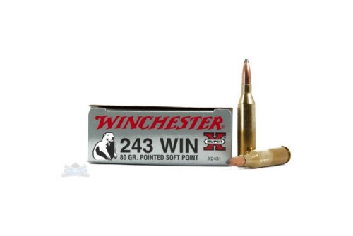 Winchester 243 80gr PSP Super-X Ammunition 20rds - X2431