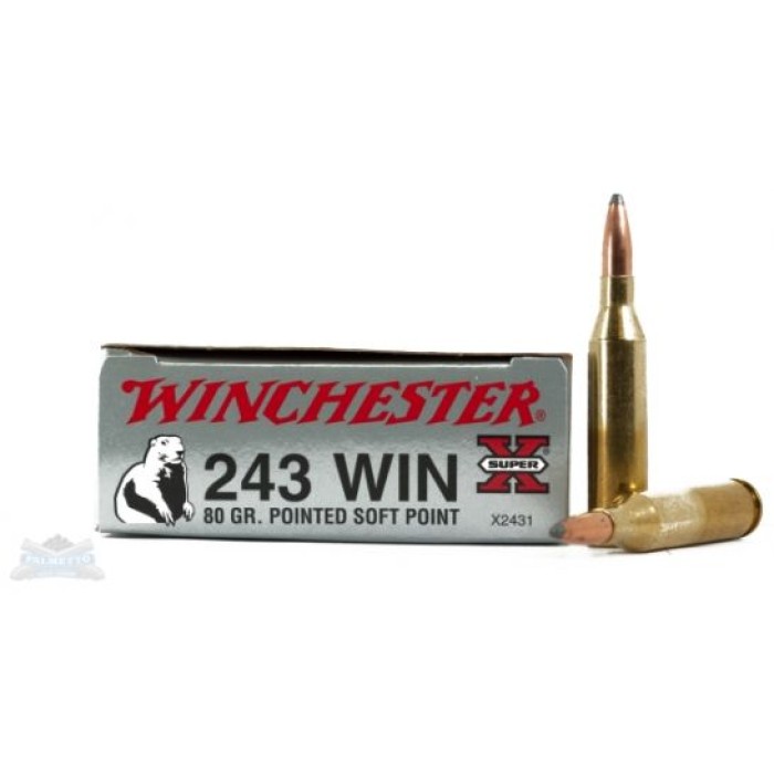 Winchester 243 80gr PSP Super-X Ammunition 20rds - X2431