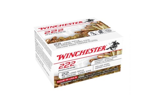 Winchester .22 LR 36gr CPHP 222 Round Bulk Pack of Ammunition - 22LR222HP