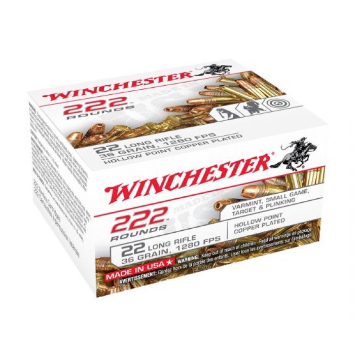 Winchester .22 LR 36gr CPHP 222 Round Bulk Pack of Ammunition - 22LR222HP