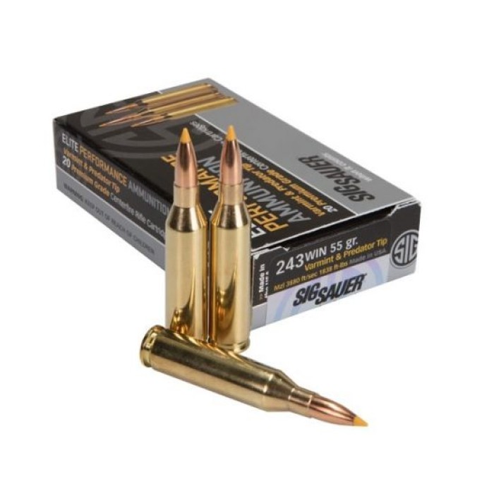 Sig Sauer 243 Win 55 GR Varmint & Predator Ballistic Tip 20 Rounds Ammunition - E243V1-20