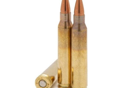 Atlanta Arms Elite Rifle Ammunition 5.56Mm 55Gr V-Max 2900 Fps 50/Ct E55655VMAXBX