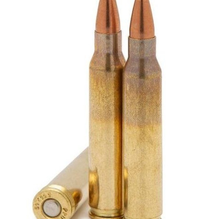 Atlanta Arms Elite Rifle Ammunition 5.56Mm 55Gr V-Max 2900 Fps 50/Ct E55655VMAXBX