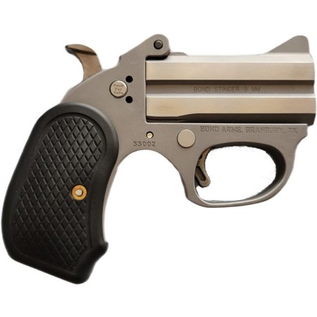 Bond Arms Honey-B Stainless .22 LR 3" Barrel 2-Rounds