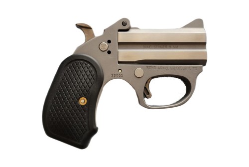 Bond Arms Honey-B Stainless .22 LR 3" Barrel 2-Rounds