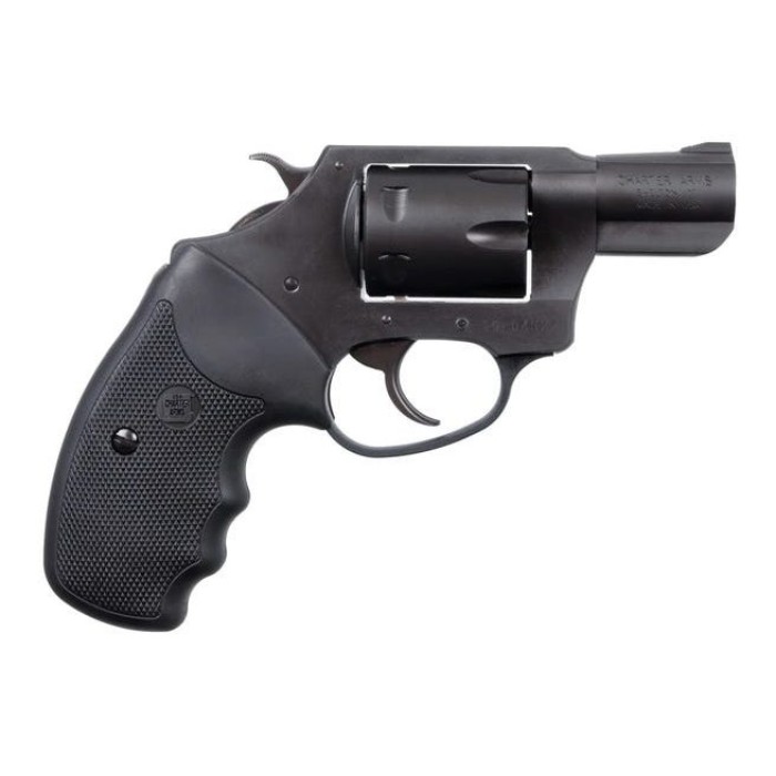 Charter Arms Pathfinder 22M Rev 2Blk SS 12324 678958123241