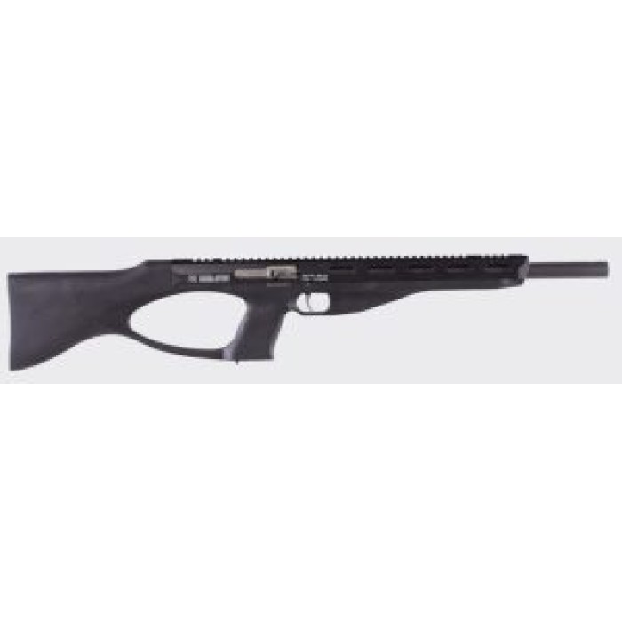 Excel Arms EA22111B Accelerator MR-22 22 WMR 9rd 16" Bull Barrel, Black Synthetic Stock