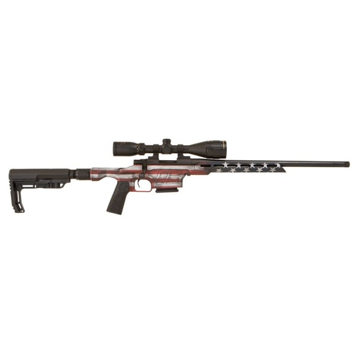 Howa Mini EXCL Lite American Flag .223 Rem 20" Barrel 5-Rounds Nikko Stirling GamePro Scope