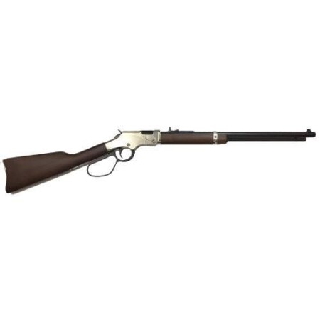 Henry Repeating Arms SILVER BOY LEVER 22LR LRG LOOP