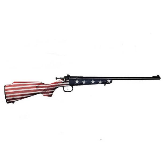 Keystone Sporting Arms Crickett Rifle 22 LR - 16.125