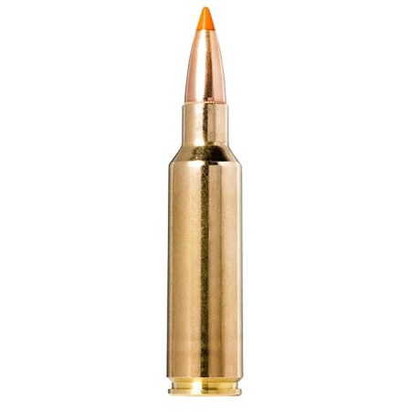 Norma .300 Winchester Short Magnum 170 grain Rapid Expansion Polymer Tip Brass Cased Rifle Ammo, 20 Rounds, 20174022