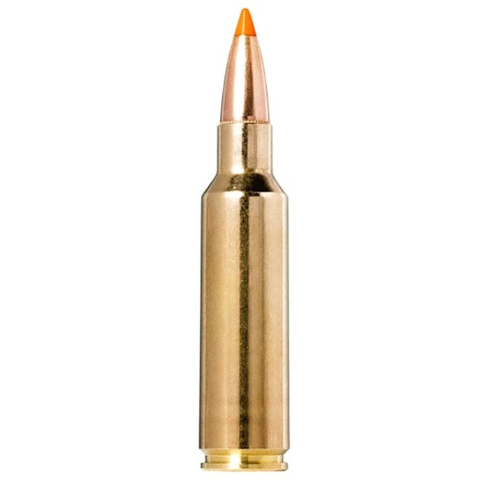 Norma .300 Winchester Short Magnum 170 grain Rapid Expansion Polymer Tip Brass Cased Rifle Ammo, 20 Rounds, 20174022