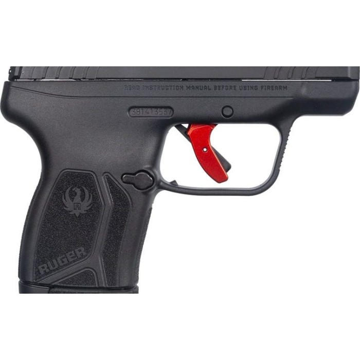 Ruger Lcp Max Elt 380 B 10/12 DE 13736