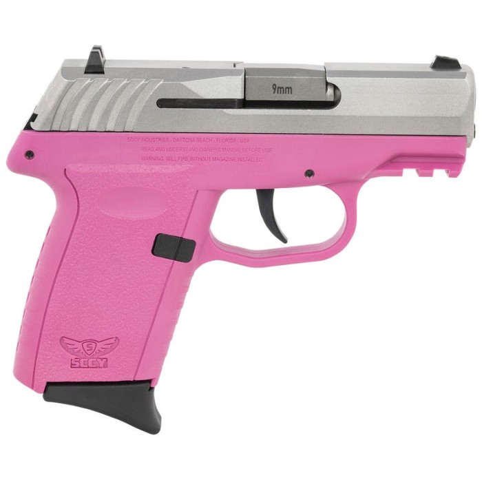 SCCY CPX-2 Gen3 Pink / Stainless 9mm 3.1" Barrel 10-Rounds