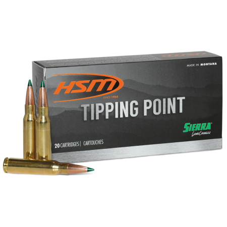 HSM 6ARC2N Tipping Point Super Shock Tip 6mm ARC 95 Gr 20 Per Box/ 25 Cs