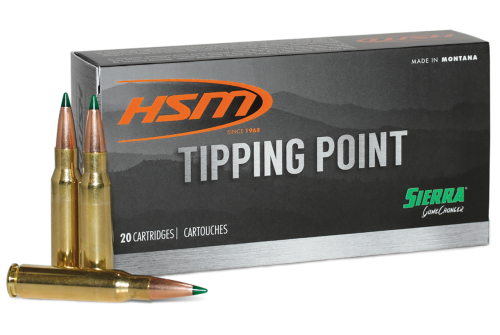 HSM 6ARC2N Tipping Point Super Shock Tip 6mm ARC 95 Gr 20 Per Box/ 25 Cs