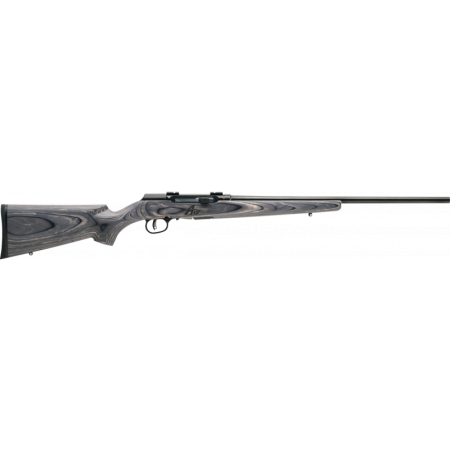 Savage Arms 47801 A17 WSM Sporter 17WSM 22