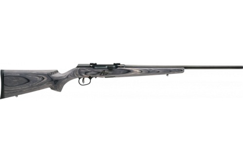 Savage Arms 47801 A17 WSM Sporter 17WSM 22