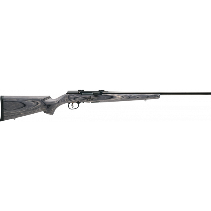 Savage Arms 47801 A17 WSM Sporter 17WSM 22