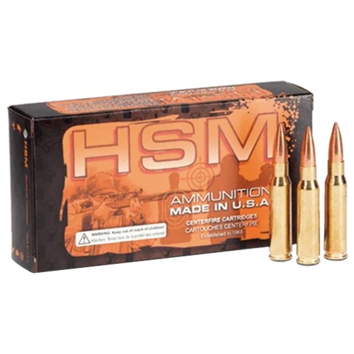 Hsm Ammo .45-70 Govt. 400gr. - Jacketed Flat-nose 20-pack <