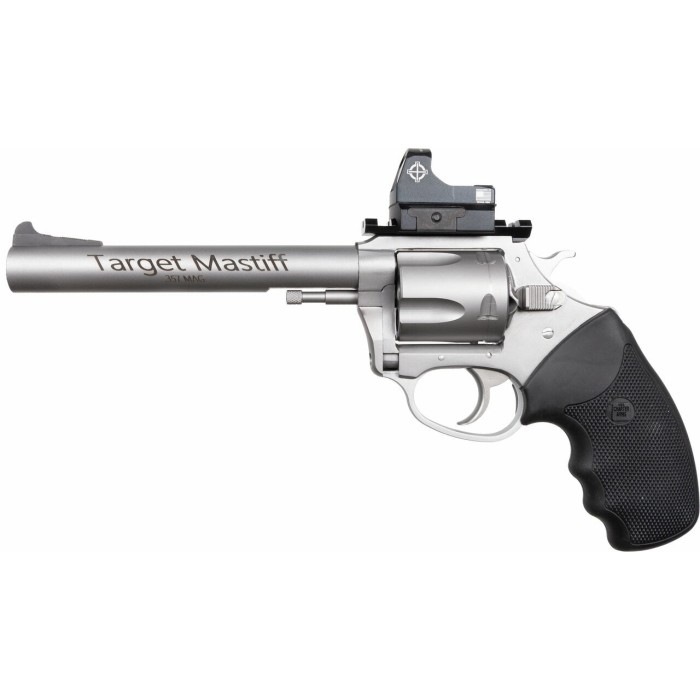 Charter Arms Target Mastiff Stainless .357 Mag 6