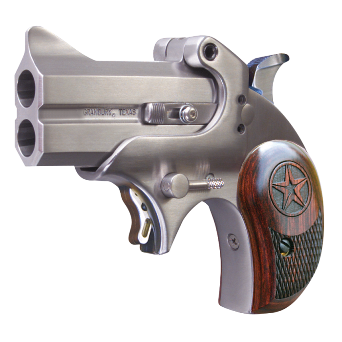 Bond Arms Mini Derringer