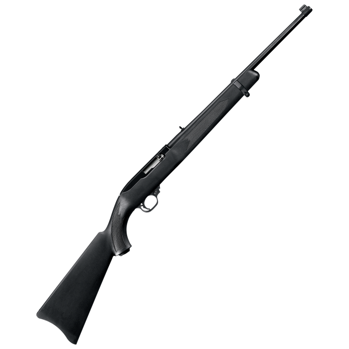 Ruger 10/22 Carbine Semi-Auto Rimfire Rifle with Synthetic Stock – Blued/Synthetic