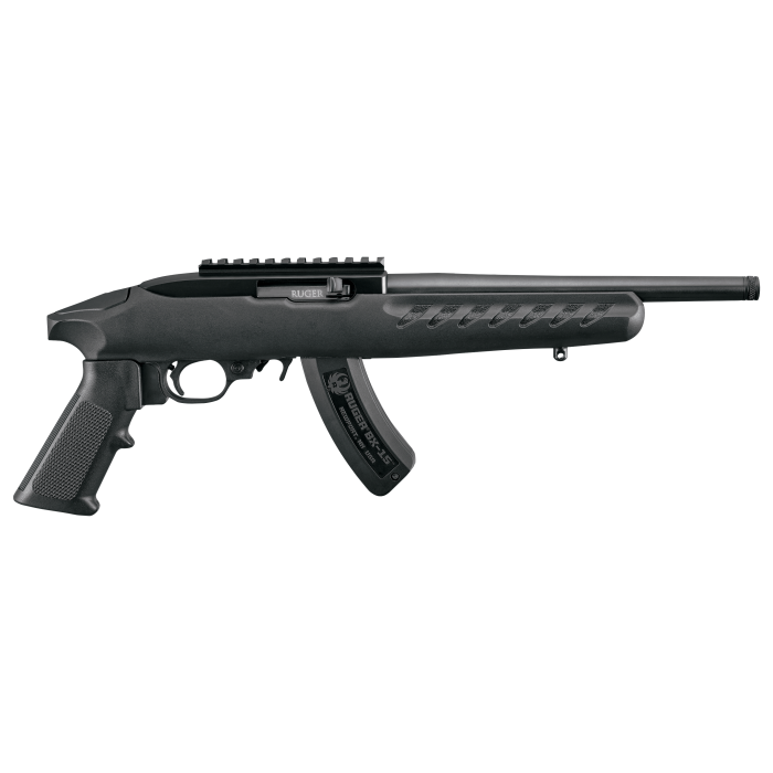 Ruger 22 Charger Semi-Auto Rimfire Pistol with Bipod