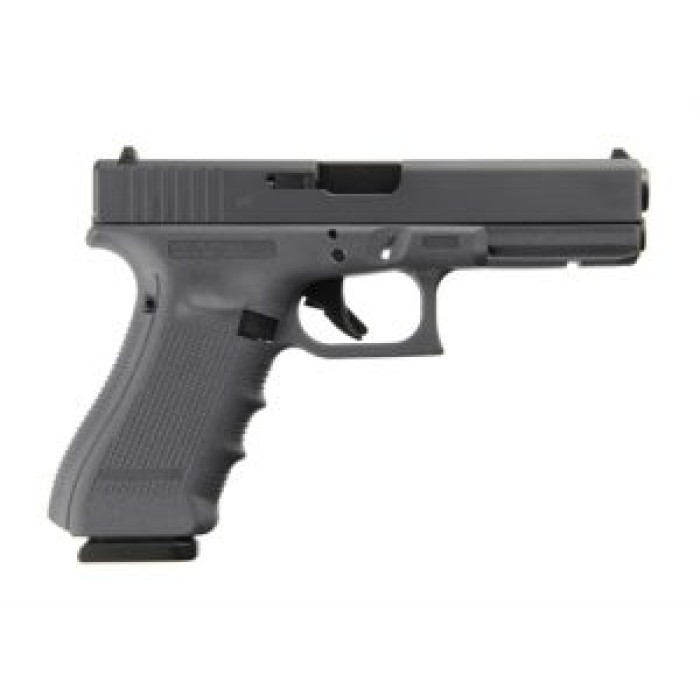 Glock G22 G4 Full Gray 40Sw 15+1 FS PG2250204GF 764503913402