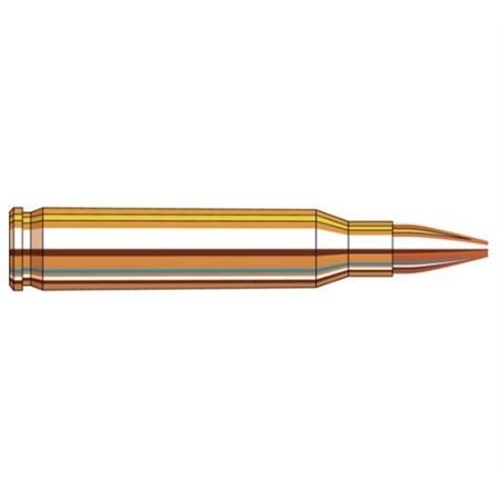 Horn Shot Frontier 223Rem 55Gr Hollowpoint 500/120 FR144 090255711363