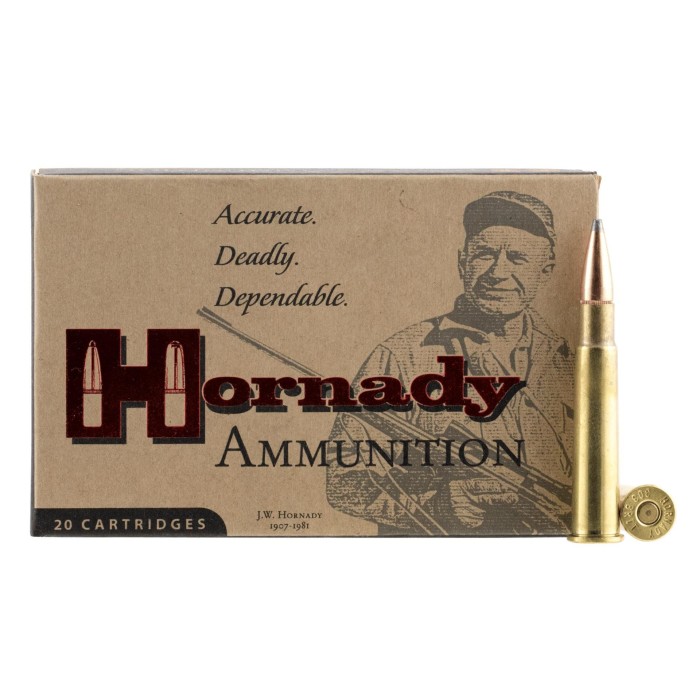 Hornady Ammo 303 British 150 Gr Interlock - Dirty Bird Industries