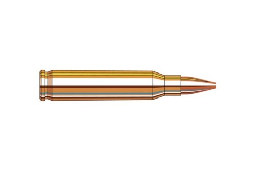 Hornady Frontier 5.56Mm 55Gr Match Hollow Point 1000 Rds - Fr246