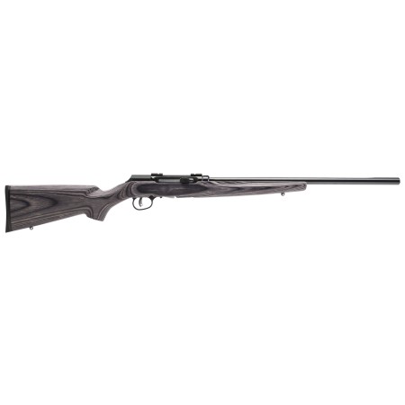 Savage A17 Target Sporter Laminate Semi-automatic 17HMR 22