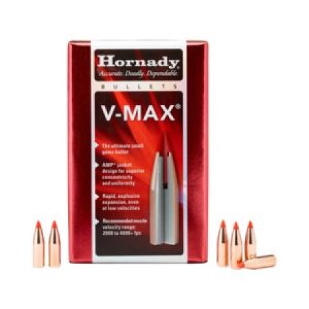 Hornady V-MAX .17/.172 Cal 25gr Bullets (100/Box) 17105