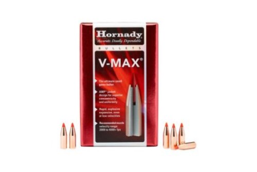 Hornady V-MAX .17/.172 Cal 25gr Bullets (100/Box) 17105