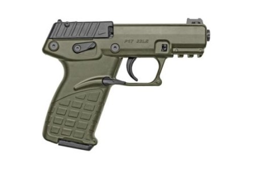 Kel-Tec P17BGRNOPTIC P17  22 LR 16+1 3.80