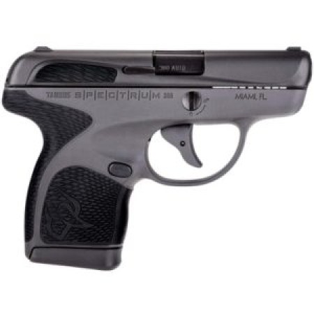 Tau Spectrum 380Acp B/Gray/B 1007031201