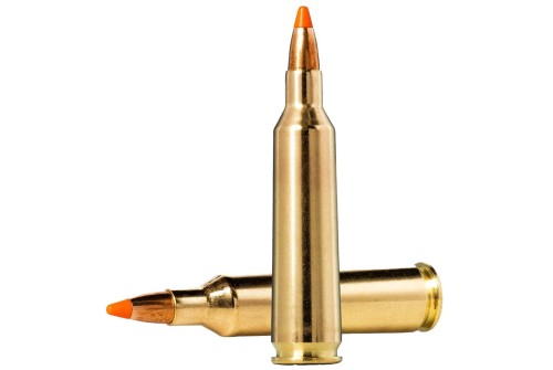 Norma Ammunition 20157372 Dedicated Hunting Varmint 22-250 Rem 55 GR Polymer Tip 20 Per Box/ 10 CS