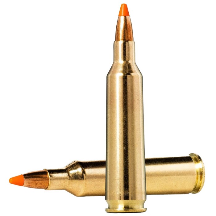 Norma Ammunition 20157372 Dedicated Hunting Varmint 22-250 Rem 55 GR Polymer Tip 20 Per Box/ 10 CS