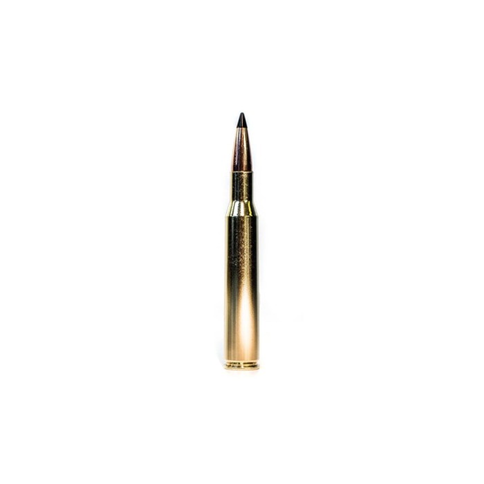 Grizzly Cartridge Co., .270 Win., Swift Scirocco Polymer-Tip BT, 130 Grain, 20 Rounds