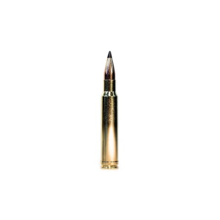 Grizzly Cartridge Co., .300 Win. Mag., Swift Scirocco Polymer-Tip BT, 165 Grain, 20 Rounds