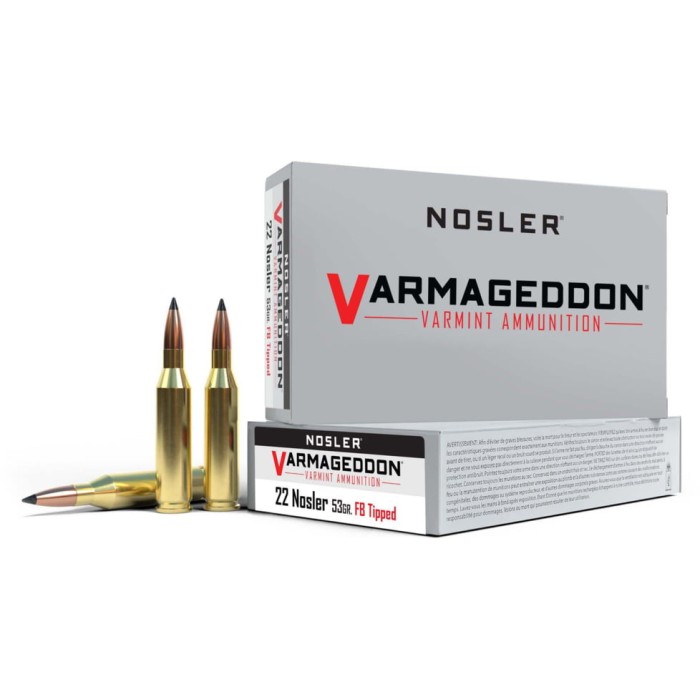 Nosler .22 Nosler, Flat Base Tipped , 53 grain, Brass Cased, 20 Rounds, 65177