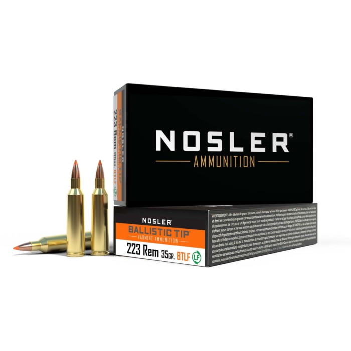 Nosler .223 Remington, Ballistic Tip , 35 grain, Brass Cased, 20 Rounds, 61042